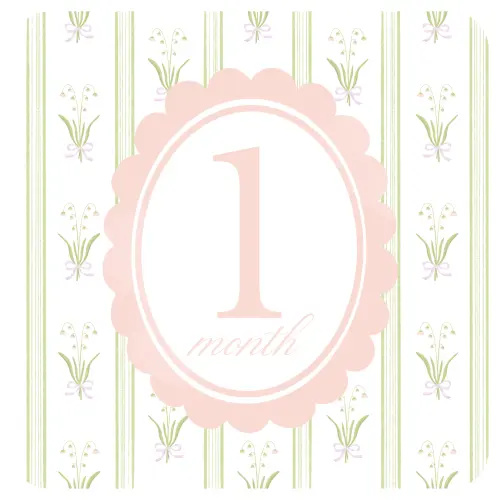 Lillian Milestone Cards — Low & Co. Studio