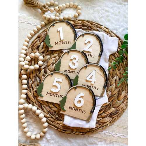 Fishing Monthly Milestone Signs - Baby’s 1st Year - Month Photo Prop - Engraved Photo Prop - Wood Plaque - Hospital Keepsake - Outdoor Baby