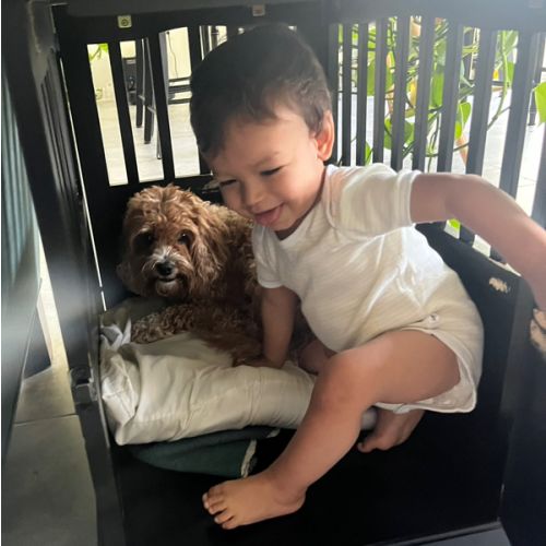 Dog Walking