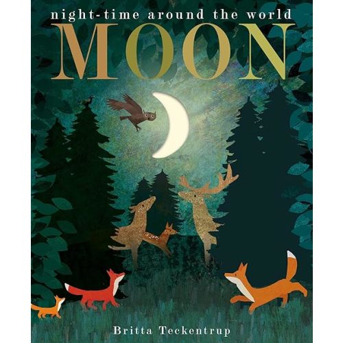 Moon: night-time around the world Board book – October 1, 2020