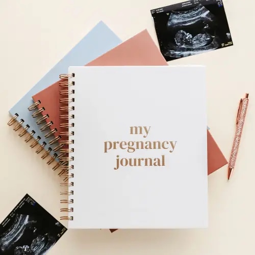 Lamare Pregnancy Journal & Planner – Timeless Memory Book for First-Time Moms - TikTok Shop