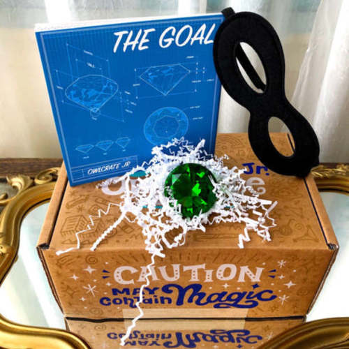 OwlCrate OwlCrate JR Box