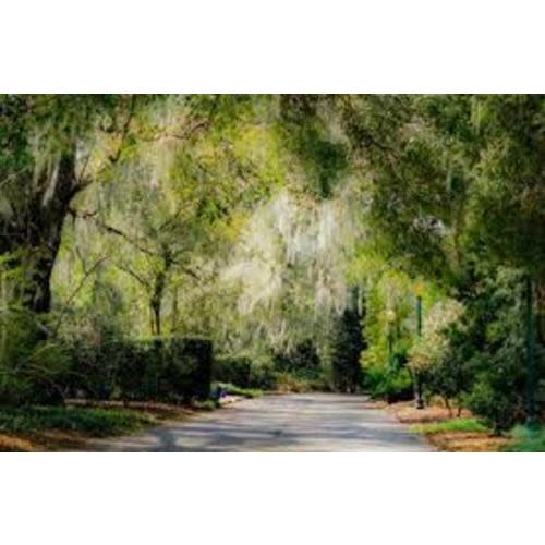 Leu Gardens Family Membership - $100