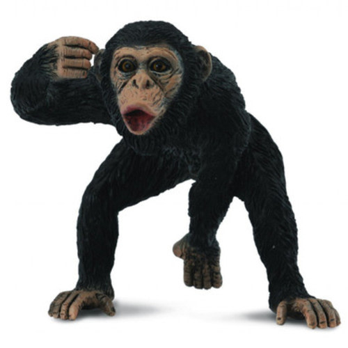 Chimpanzee Male #88492 (CollectA)