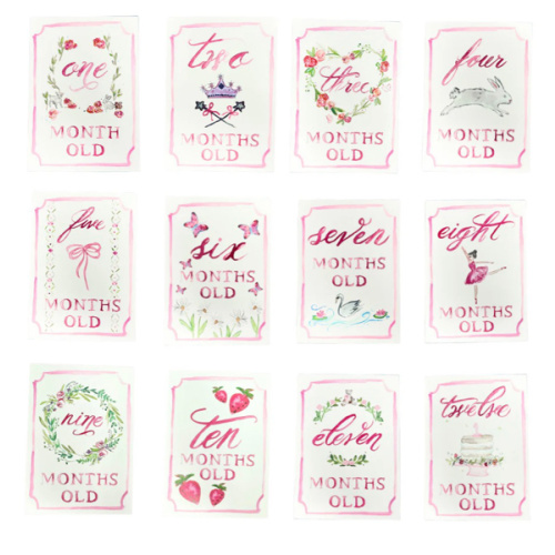Monthly Milestone Card Set - Pink | Danrie