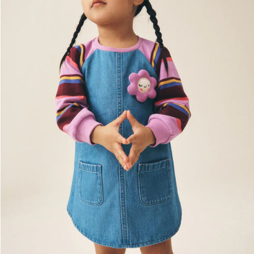Buy Purple Stripe Raglan Denim Dress (3mths-8yrs) from Next USA