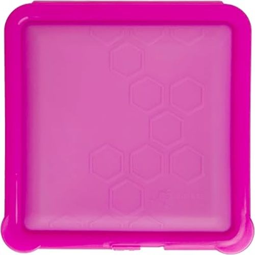 Big Bee, Little Bee - SoftShell Reusable Silicone Food Storage Container with Connected Clamshell Lid, Easy to Clean, Snaps Closed, Microwave, Freezer & Dishwasher Safe (Raspberry)