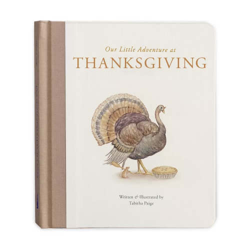 Our Little Adventure at Thanksgiving - Tabitha Paige