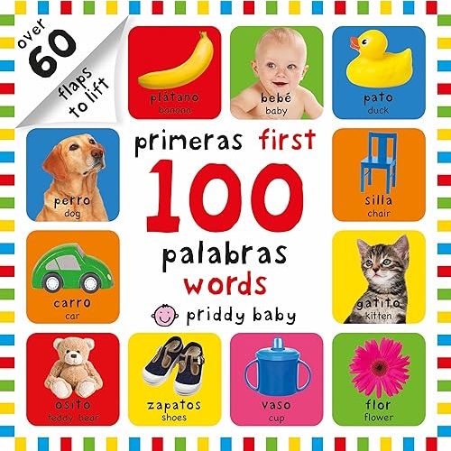 First 100 Lift-the-Flap Bilingual First Words Board book – January 2, 2018
