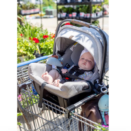 Totes Babies Car Seat Carrier