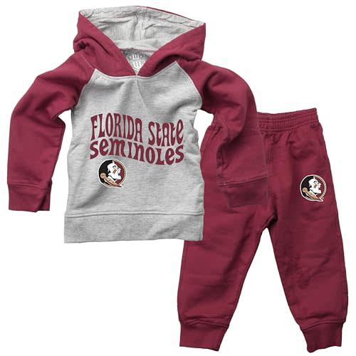 Wes and Willy Infant and Toddler College Pant and Hoodie Set