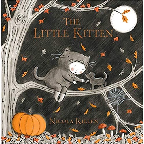 The Little Kitten (My Little Animal Friend)