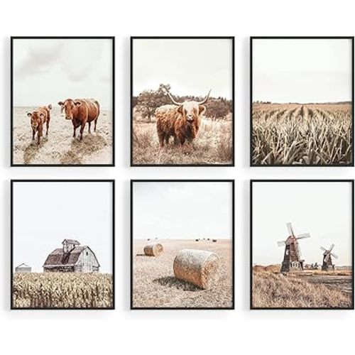 HAUS AND HUES Highland Cow Wall Art – Rustic Farmhouse Decor, Framed Cow Prints, Country Animal Wall Art, Western Barn Pictures, Vintage Artwork for Home (Unframed, 11x14)