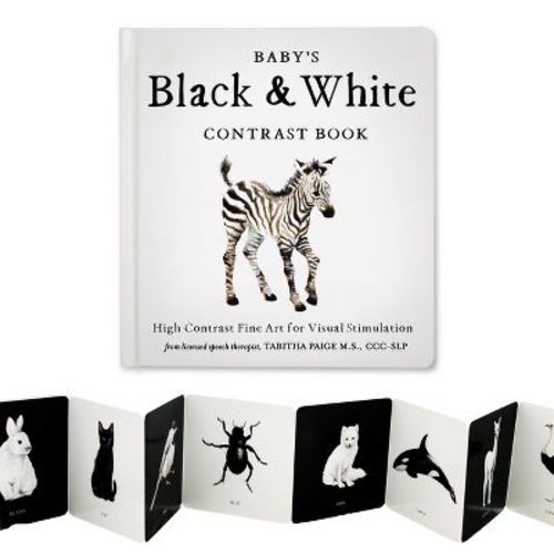 Baby's Black and White Contrast Book - (Tabitha Paige Children's Book) by Tabitha Paige (Board Book)