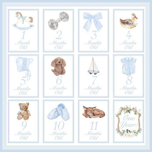 Boy Milestone Cards / Preppy Baby Month Photo Cards / Preppy Baby Boy Milestone Cards / Classic Milestone Cards / Boy Baby Shower Gift