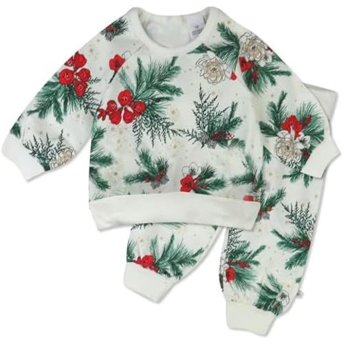 HonestBaby 2-Pack Sweatshirt & Pant Set (6-9 months)