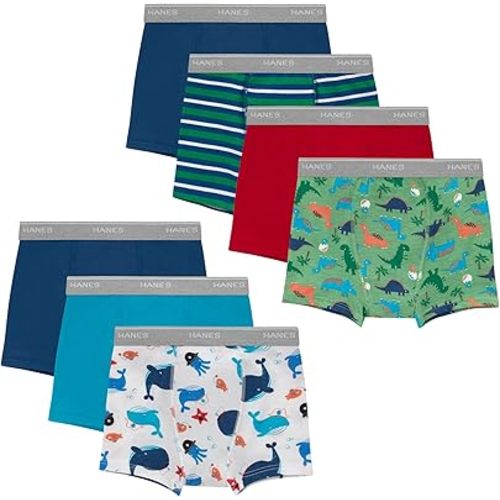 Hanes Boys' Potty Training Underwear, Light Leaks Toddler Cotton Briefs and Boxer Briefs, Multi-pack
