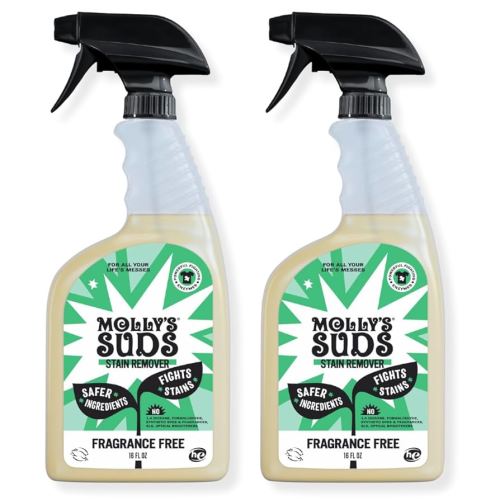 Molly's Suds Stain Remover Spray | Gentle Yet Powerful, Great for Baby & Pet Stains | Clean, Simple Ingredients (Fragrance Free) (16 Fl Oz (Pack of 2))