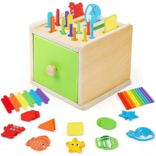 Montessori Wooden Toddler Toys for 1 Year Old, Fine Motor Skills Toys for 1-3 Year Old, 12-18 Month Baby Educational Color Shape Sorting & Animal Cognition Toy with Drawer, Birthday Gift for Girl Boy