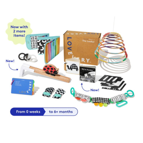 Lovevery 6 Play Kit Subscription
