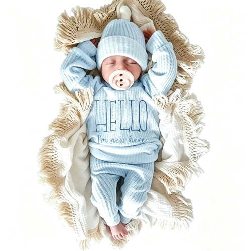 Ylsteed Newborn Baby Boy Girl Leisure Clothes Outfits Embroidery Long Sleeve Romper Bodysuit Baby Shower Coming Home Outfit Tops+Pants+Hat