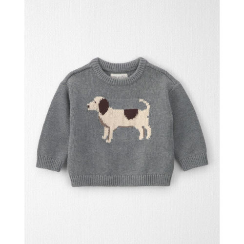 Baby Organic Cotton Dog Sweater Knit Pullover - Little Planet | Carter's