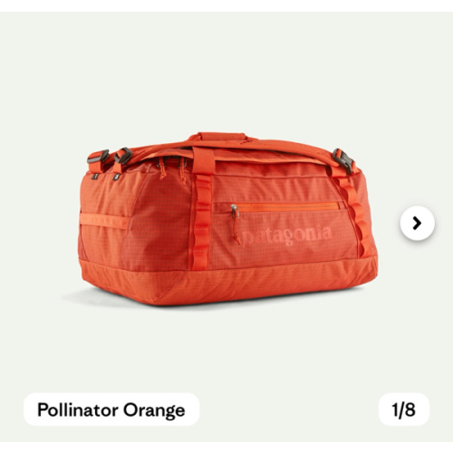 Patagonia Black Hole Duffle 40L - in Pollinator Orange