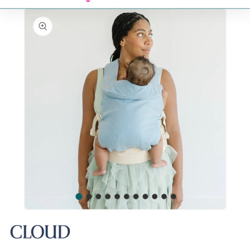 CLOUD – GOJIBERRY