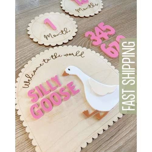 Personalized Silly Goose Baby Milestone Sign Scalloped Edge Welcome Arch