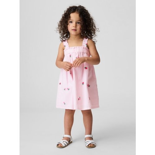 Baby & Toddler Seersucker Embroidered Dress