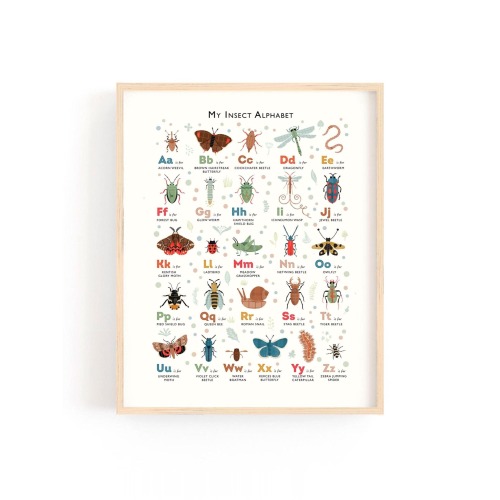 Insect ABC Poster: Nature Nursery Alphabet Wall Art