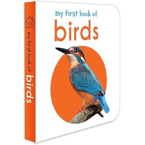 My First Book of Birds: First Board Book