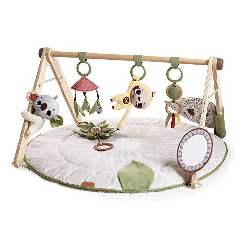 Tiny Love Boho Chic Gymini with Mirror and Detachable Toys, Wall Mount, Developmental Gym and Playmat for Babies, Newborns, and Infants