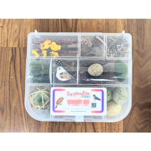 Bird Themed Sensory Box Loose Parts Play Tinker Tray Montessori