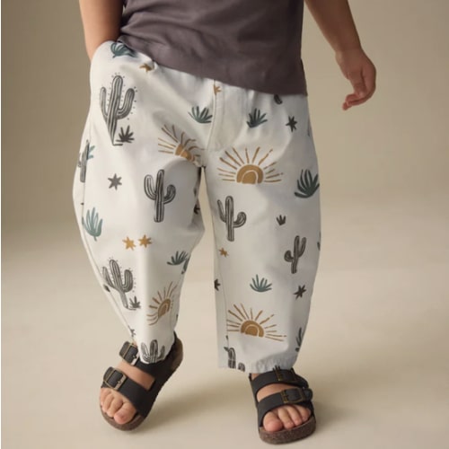 Buy Neutral Cactus Print Barrel Pull On Trousers (3mths-7yrs) from Next USA