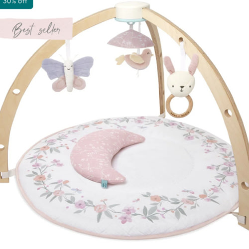 Baby Gym | Premium Baby Activity Gym | aden + anais