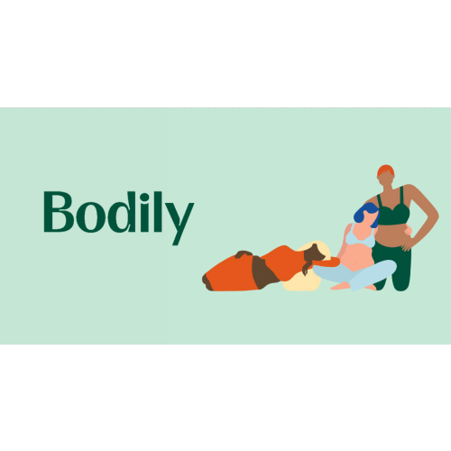 Bodily: A Modern Resource For Women's Bodies and Maternal Health