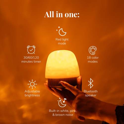 Havie Lamp