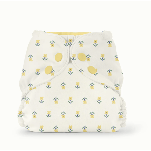 Outer–FW Buds / Two
