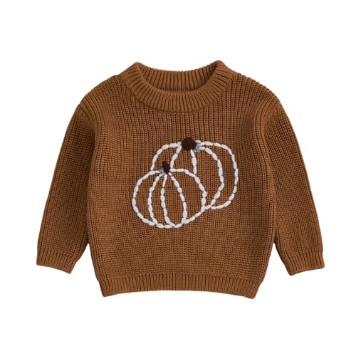 Toddler Baby Girl Boy Halloween Outfit Pumpkin Embroidery Knit Sweater Sweatshirt Outerwear Fall Winter Clothes