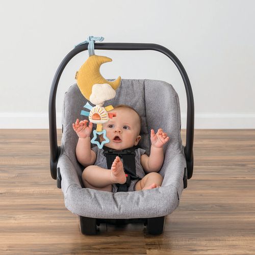 Itzy Ritzy Bitzy Notes-Moon