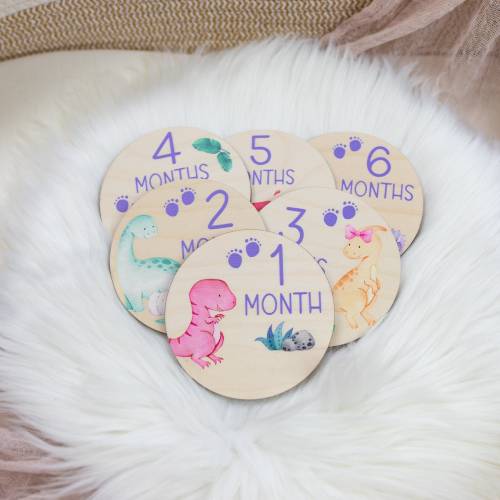 Dinosaur Milestone Cards, Baby Milestone Dinosaur Discs Marker, Wood Milestone Card, Baby Milestones, Photo Prop, Dinosaur Nursery Theme G20