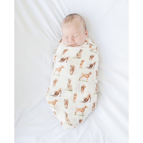 Vizsla Swaddle