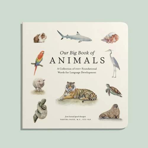Our Big Book of Animals