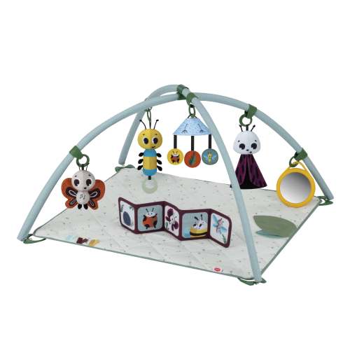 Tiny Bugs Developmental Gymini®