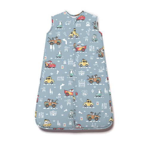 Disney Sleep Bag - CARS MAP