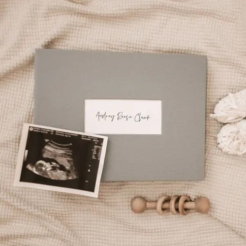 The Short Years Baby Book - Windowed Binder Only — The Short Years