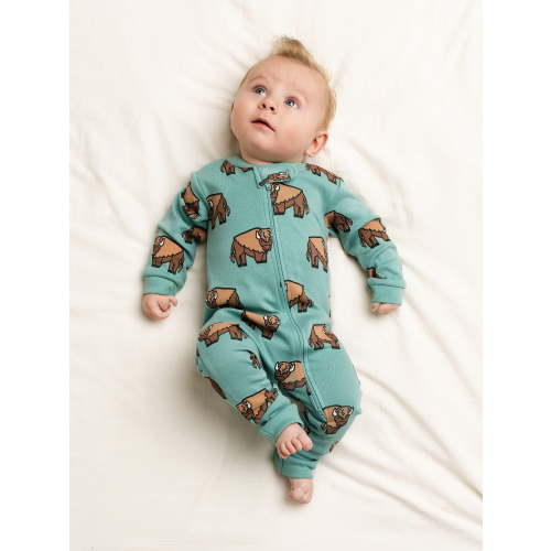 Monica + Andy Organic Cotton Gender Neutral Long Sleeve Baby One-Piece Pajama, Sizes Newborn - 24 Months