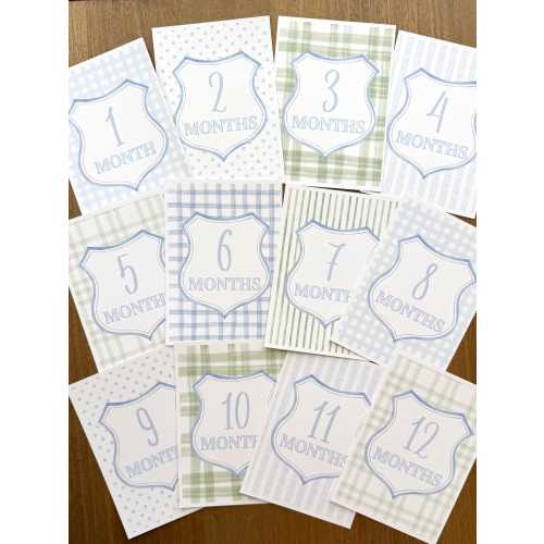 Baby Boy Milestone Cards, Watercolor Gingham, Linen Texture Photo Props