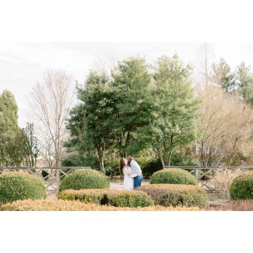 Family Photographer in Louisville | Amanda Karis Photography